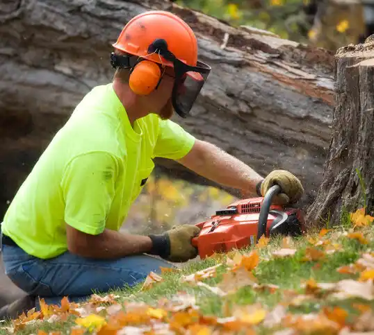 tree services Heritage Hills